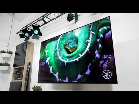 Unser Heimkino in der Halle! (2/2)