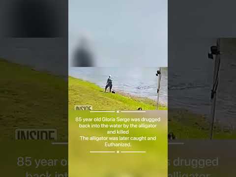 Alligator Attacks Elderly Woman Near Florida Retirement Center