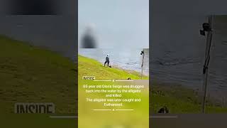 Alligator Attacks Elderly Woman Near Florida Retirement Center