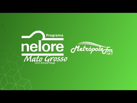 PROGRAMA NELORE MATO GROSSO - DENISE PIMPIM MARTINS - 19/11/2025