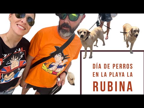 ¿Conoces la playa para perros La Rubina?