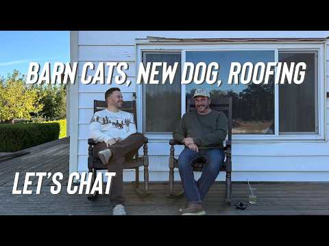 Are We Getting Another Dog? Why Won't We Get Barn Cats?