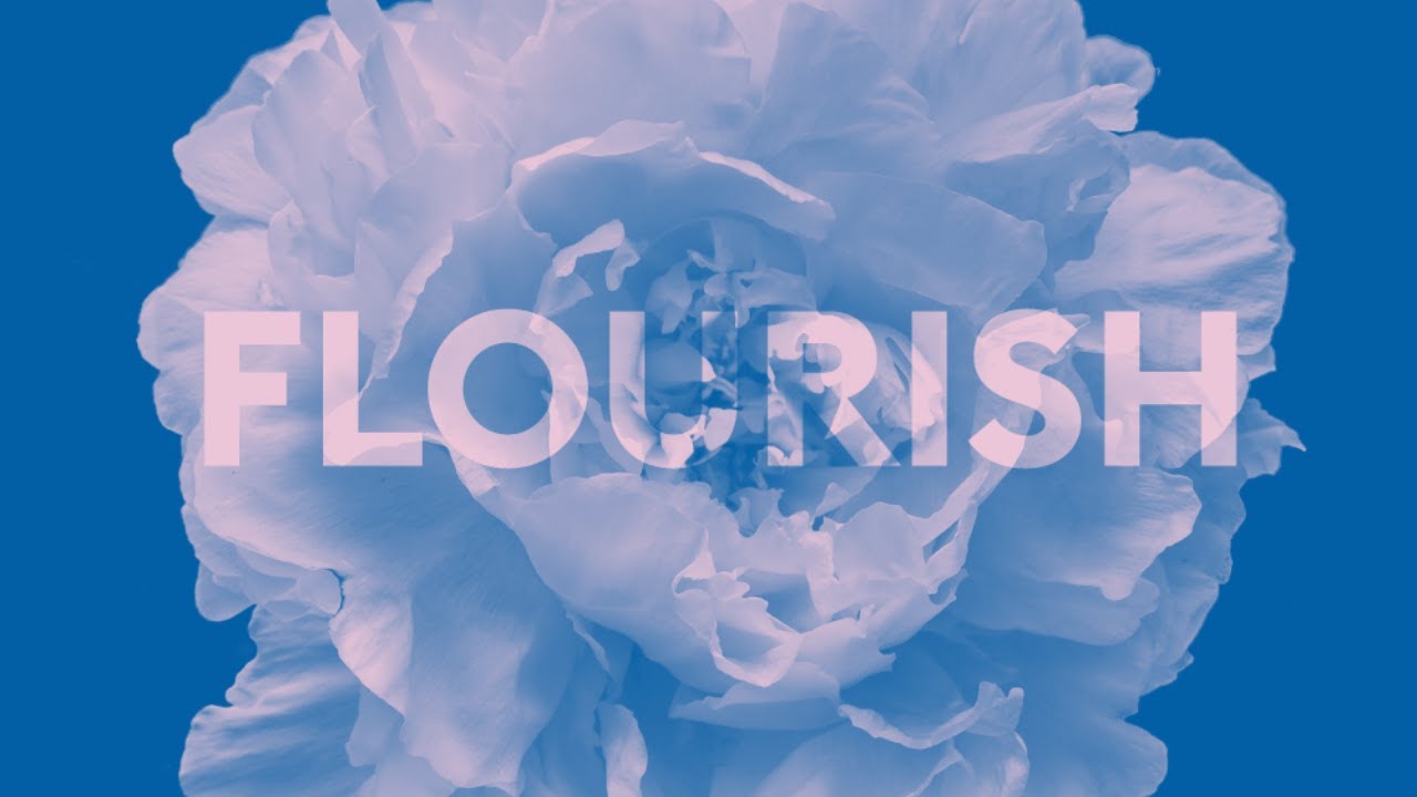 Flourishing Gays Presents: Jan Rybeck on Vertical Development