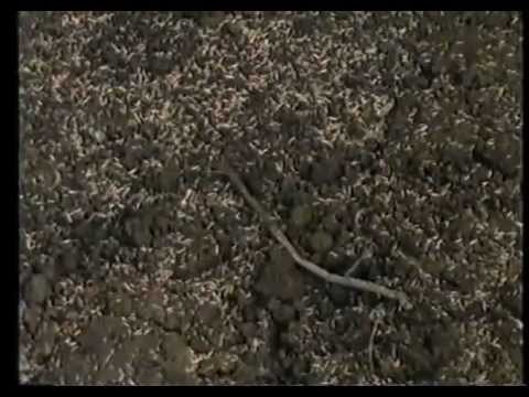 Mittendrin - In einem Bachbett/07.01.1989 -  Folge 1