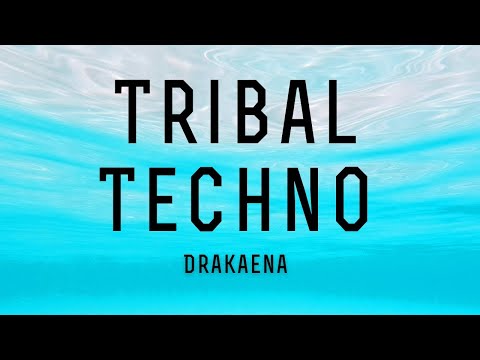 Tribal Techno Mix - February 2025
