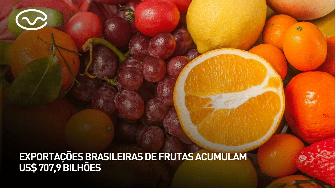 Exportações brasileiras de frutas batem recorde no primeiro semestre de 2026