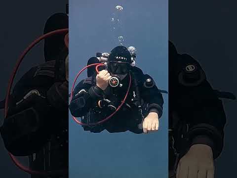 How to route your long hose ? #learn #art #underwater #yt #facts #howto