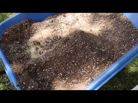 Transplanting, supplements, soil! Part one...
