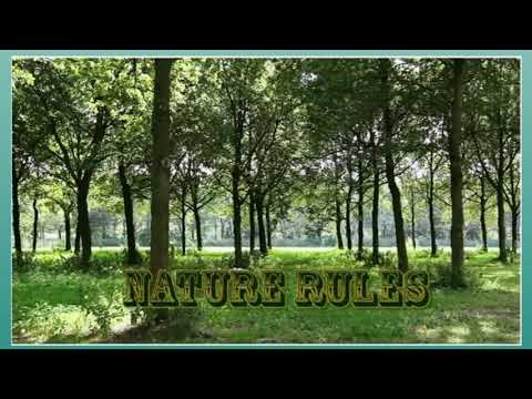 Excel 8. Module 6. Nature rules