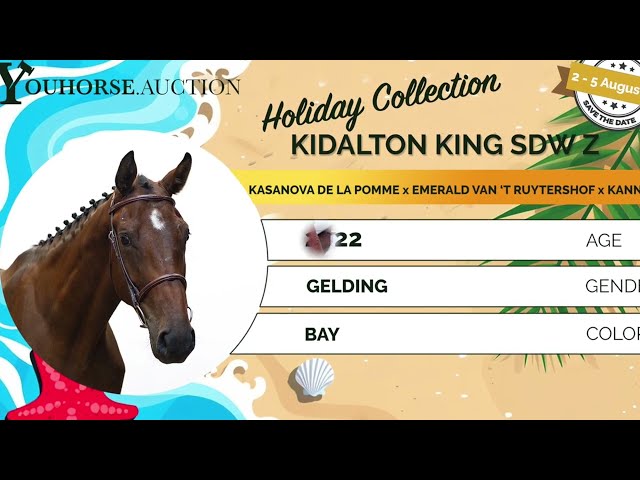Kidalton King SDW Z
