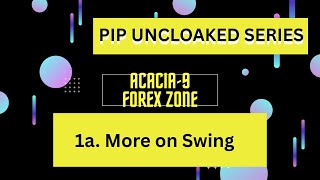 1a  more on Swing