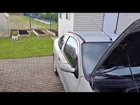 фото кнопка стеклоподъемника renault megane, 2002 г. 0