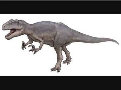 A-Z of carnivorous dinosaurs