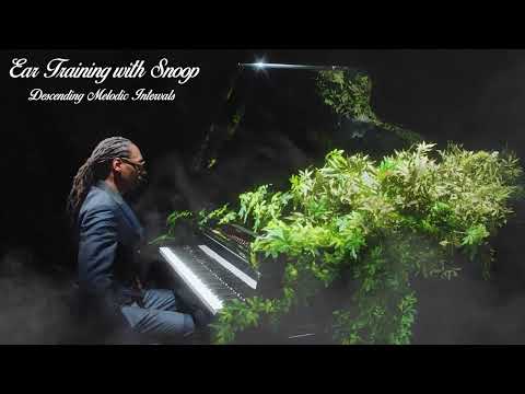 1 Hour Ear Training: Descending Intervals | All Intervals