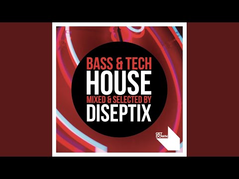 Say House (Diseptix Remix - Mixed)