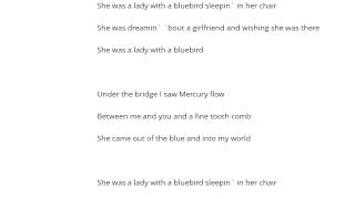 America   Lady With A Bluebird Şarkı Sözü