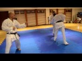 Hangetsu Bunkai