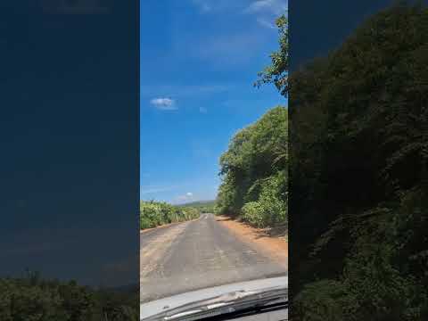 restauração do asfalto entre caldeirão grande e fronteiras piaui!