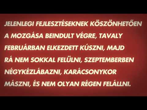 Ocho Macho presente Patrick gyógyulása  - Nicest Children of the World