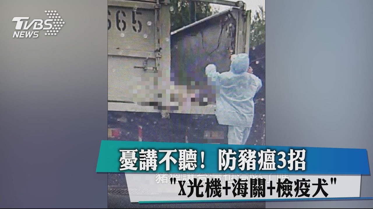 憂講不聽! 防豬瘟3招「X光機+海關+檢疫犬」