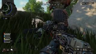 COD: BLACK OPS 4*