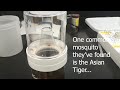 Fun facts about Missouri's mosquitoes