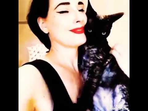 ❤Dita Von Tiss and Cat👍