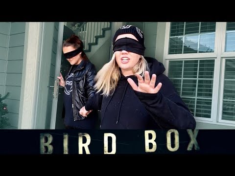 24 Hour Bird Box Challenge Video