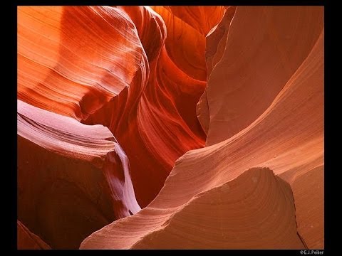 Terra Cruda (excerpt)