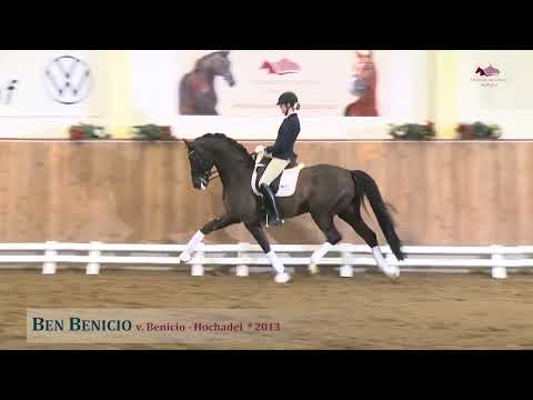 Ben Benicio v. Benicio - Hochadel