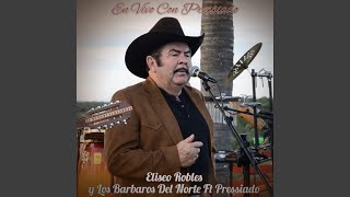 Flor Sin Retoño Con Pressiado (En Vivo)