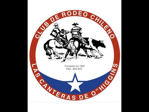 Serie Criaderos - Club de Rodeo Las Canteras de O´Higgins- Asoc Bio Bio - Medialuna Templo del Huaso