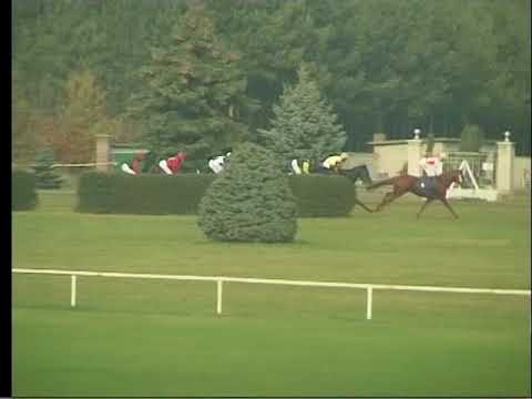 KO, 4. 11. 2017, 1. dostih - CENA OBCE KLADRUBY NAD LABEM