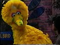 Free Like Video Big Bird Crying
