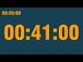 41 minute timer (with end alarm, time elapsed and progress bar)