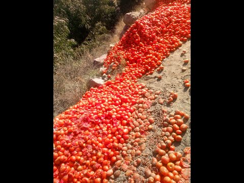 Pérdidas de productos agrícolas en Omereque-Cochabamba
