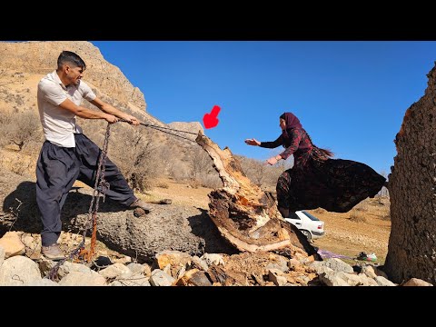 The Embrace of the Mountain, the Warmth of Love: Ramin and Zolfa in Love in Search of Firewood