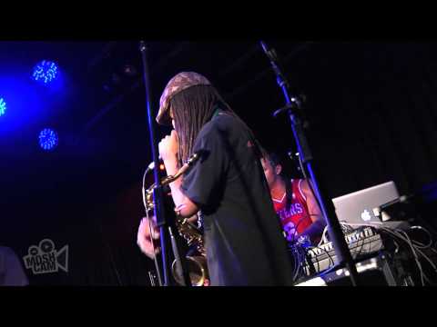 True Vibenation - Sunshower   (Live in Sydney) | Moshcam