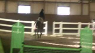 Magical Bay "Blacky"