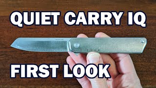 First look at a Quiet Carry IQ!