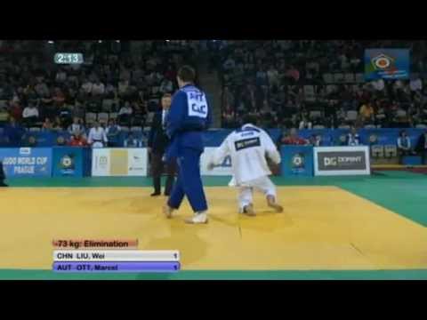 Judo Worldcup Pague 2012: -73kg LIU, Wei (CHN)  - OTT, Marcel (AUT)