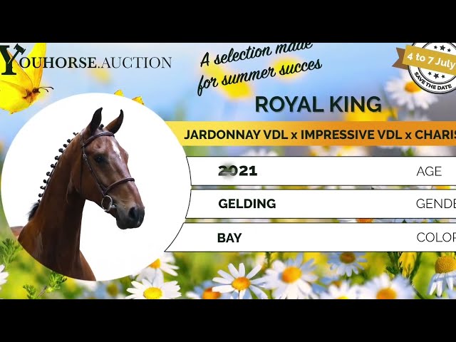 Royal King trainingsvideo
