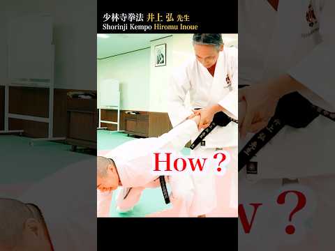 Amazing #shorinjikempo !