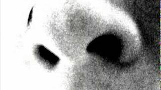 teardrops of the moon