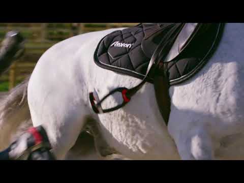 Flex On Safe On Stirrups