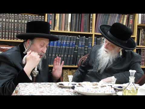 Skolye Rebbe Visiting Shinava Rebbe - Adar II 5782
