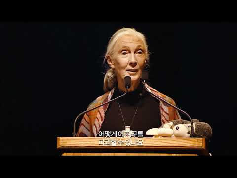 [제인 구달] 메인 예고편