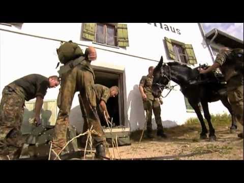 Tierischer Transport