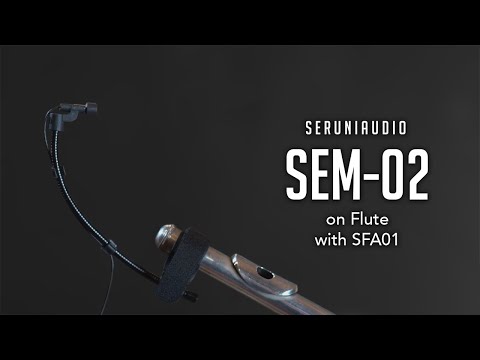 How to Mic a Flute with SEM-02 | Sound Sample