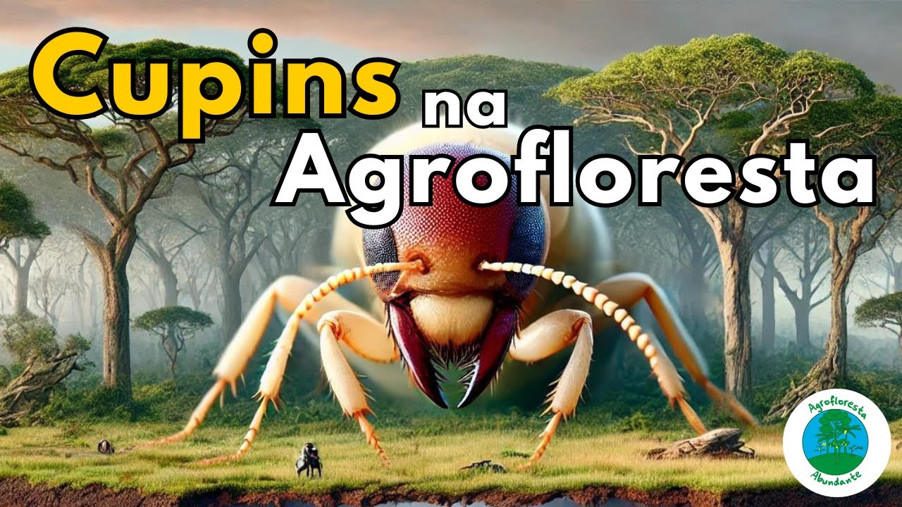 Como Controlar CUPINS na AGROFLORESTA?